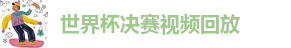世界杯决赛视频回放